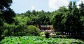 長沙出發(fā)到花明樓、韶山、張家界國家森林公園、天門仙山國家森林公園四日游